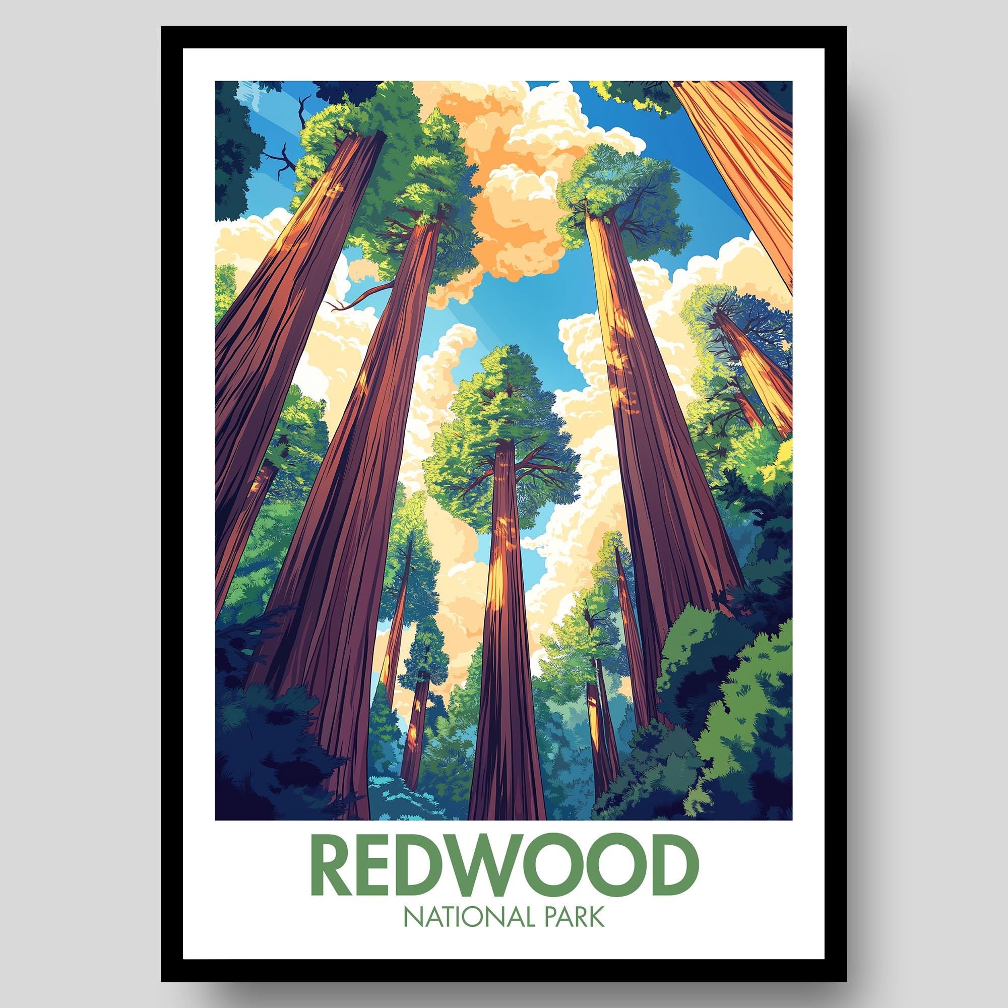 Redwood National Park Poster