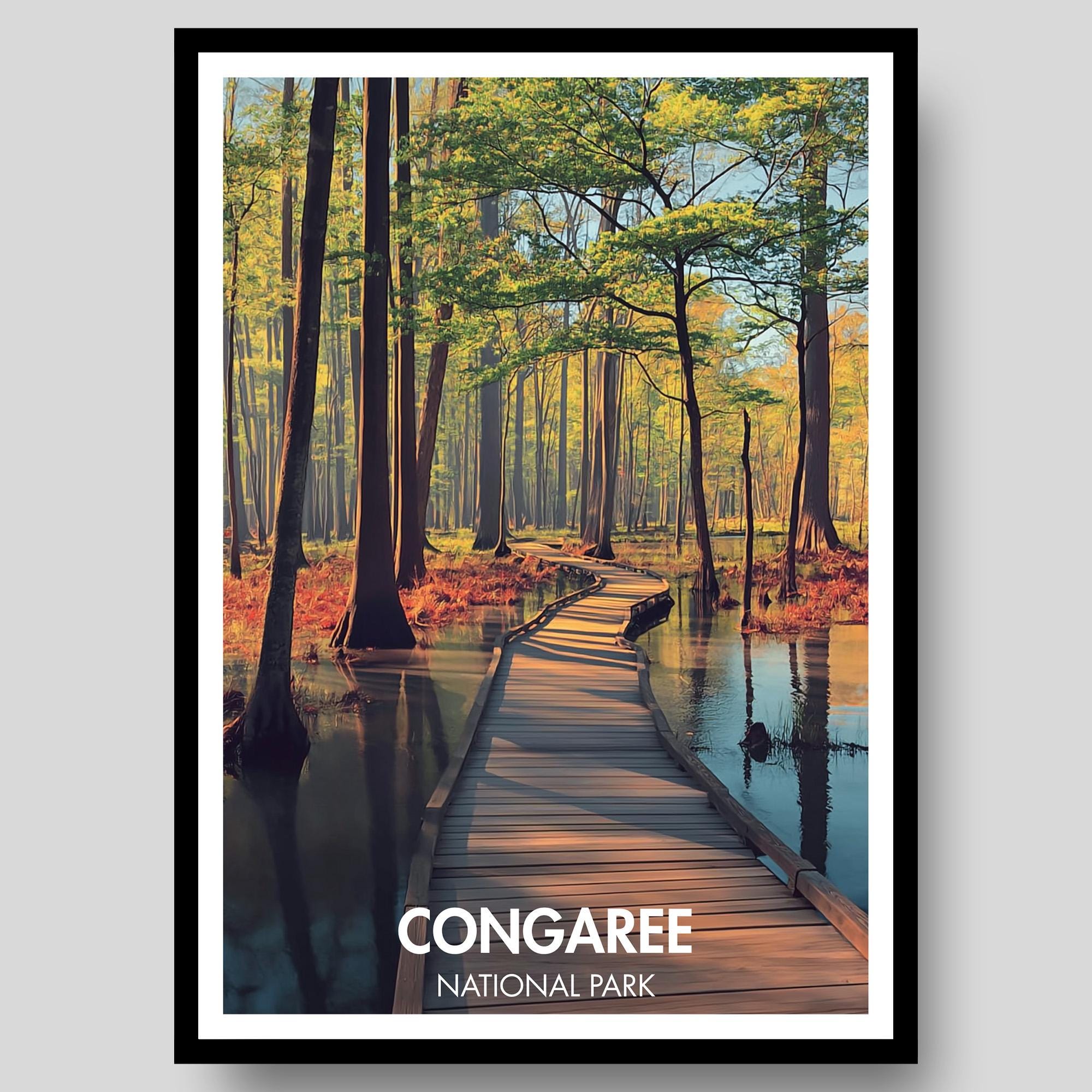Congaree National Park Poster