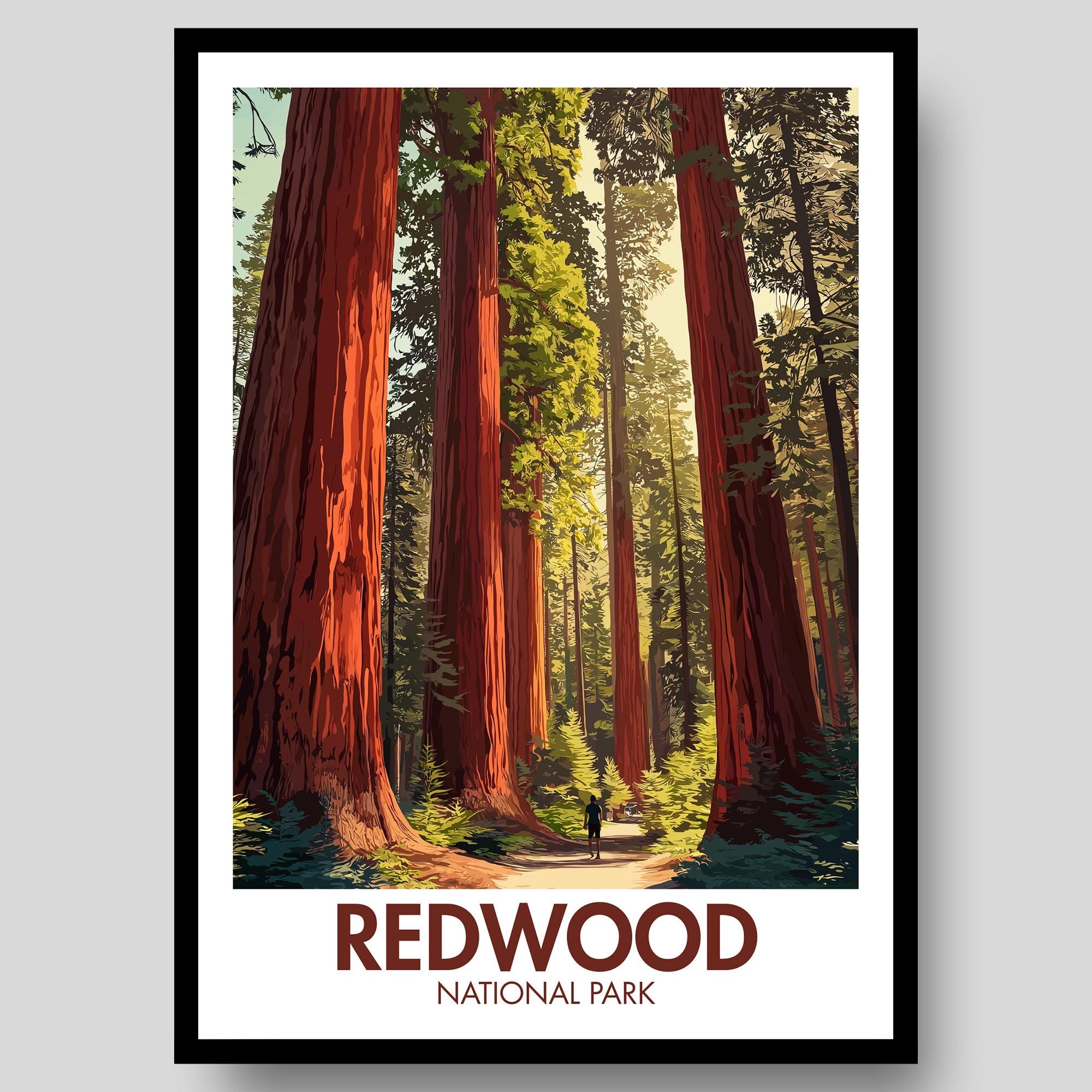 Redwood National Park Poster