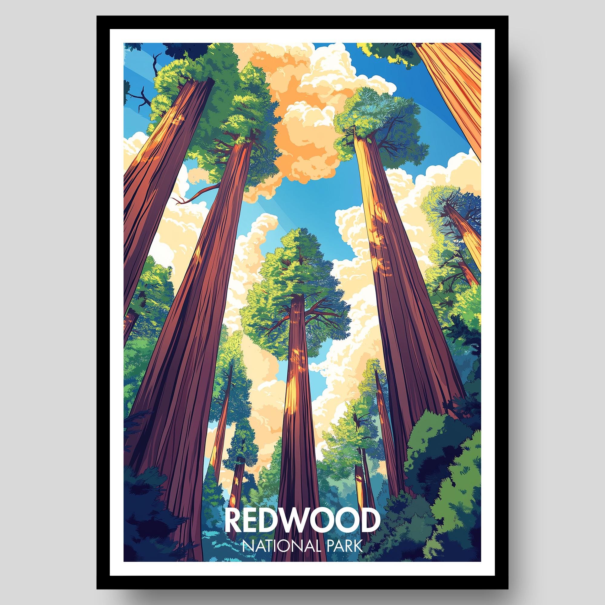 Redwood National Park Poster