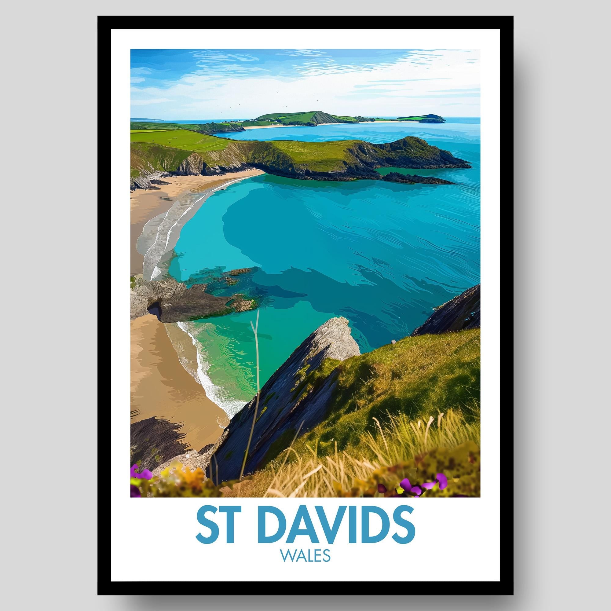 St Davids Poster