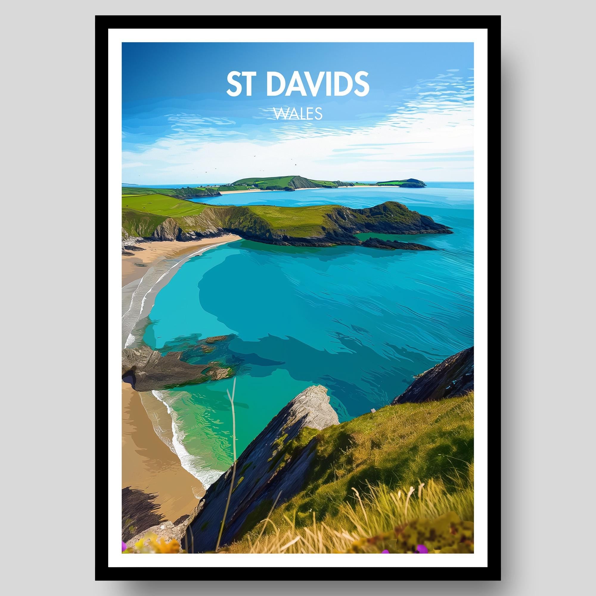 St Davids Poster