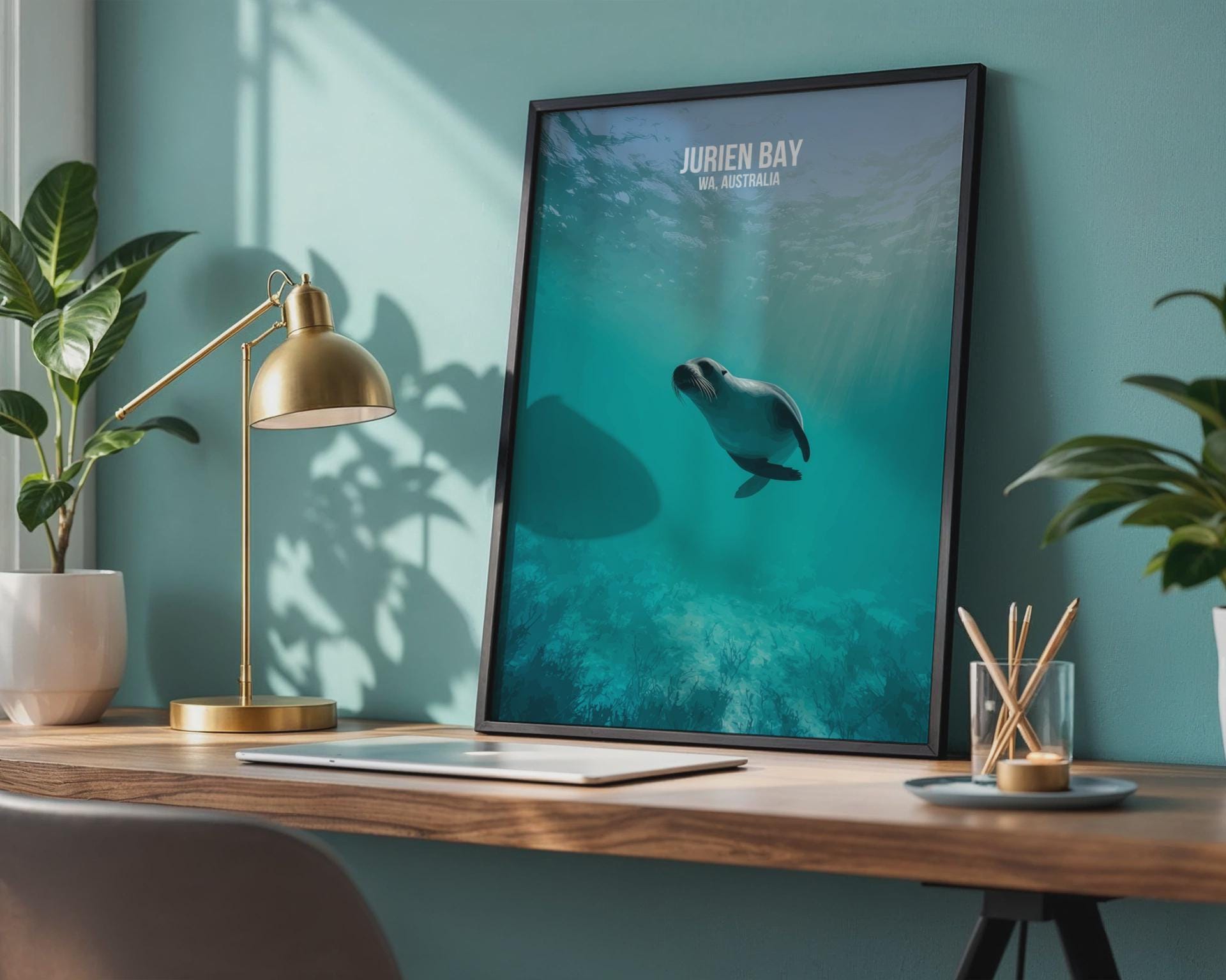 Jurien Bay Sea Lion Art Print WA Australia Wall Art - Travel Wall Art