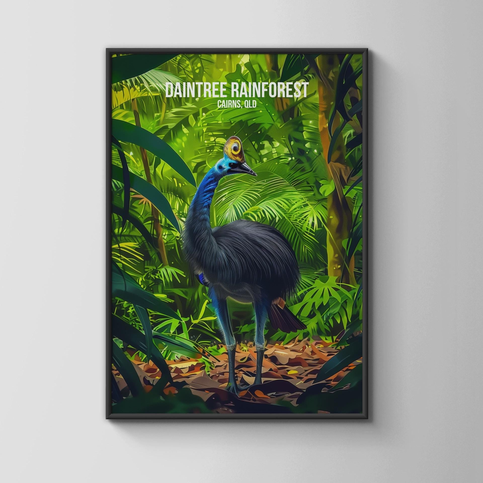 Daintree Rainforest Cassowary Print Wall Art - Travel Wall Art