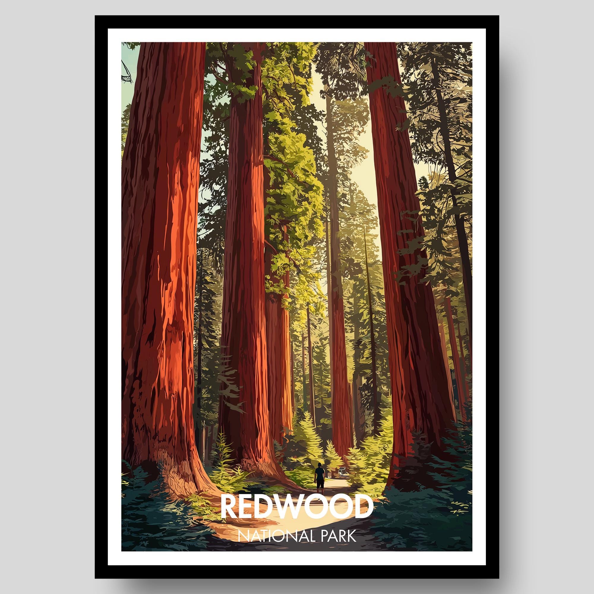 Redwood National Park Poster