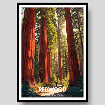 Redwood National Park Poster