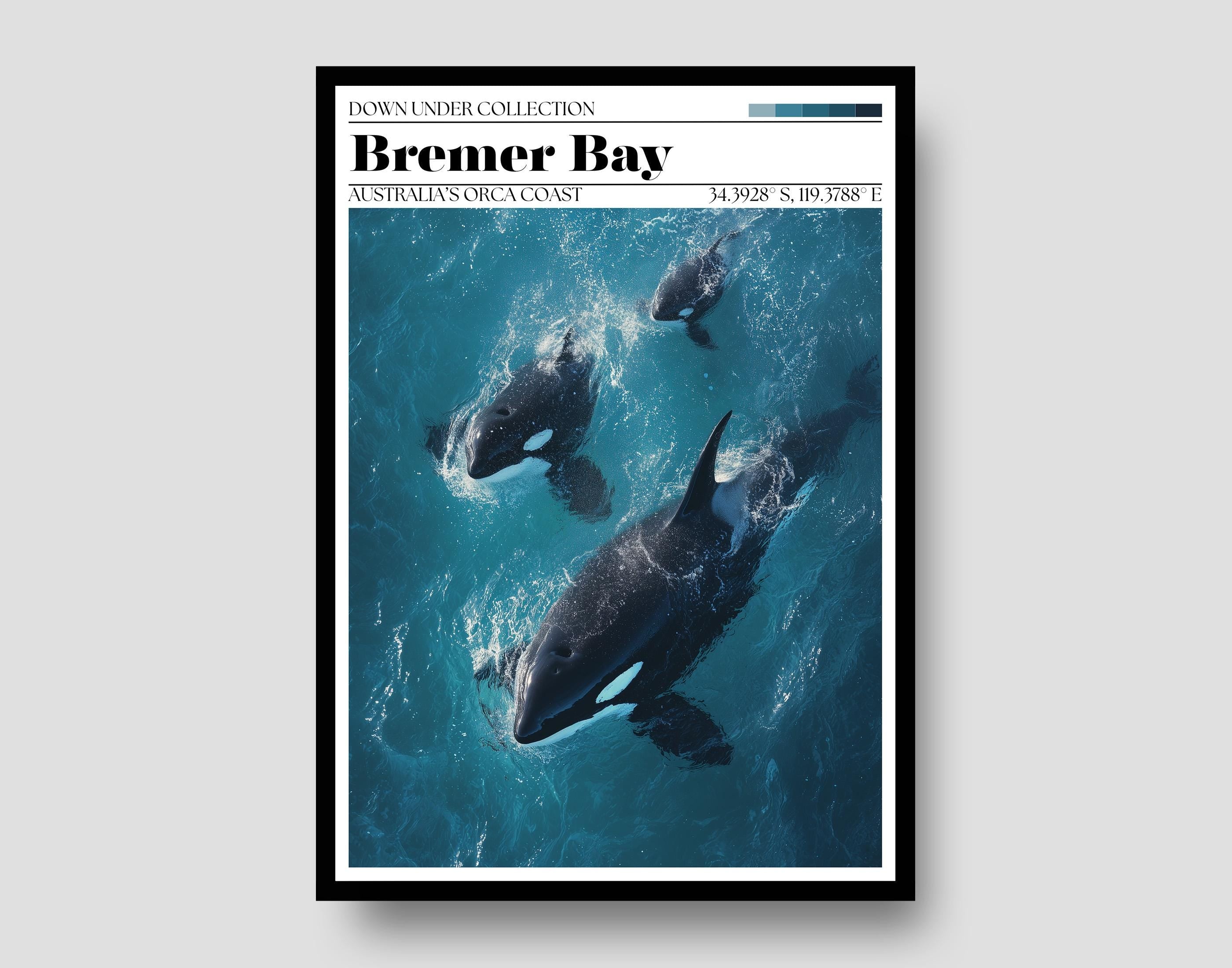 Bremer Bay Orca Poster – Western Australia Travel Print