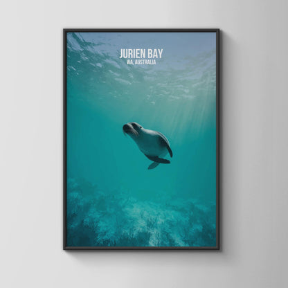 Jurien Bay Sea Lion Art Print WA Australia Wall Art - Travel Wall Art